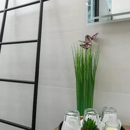 Rusulica Trogir 希杰·弗朗吉卡